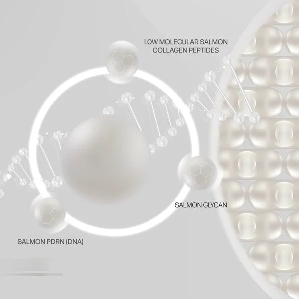 BloomTint™ Balsamo antirughe multifunzionale