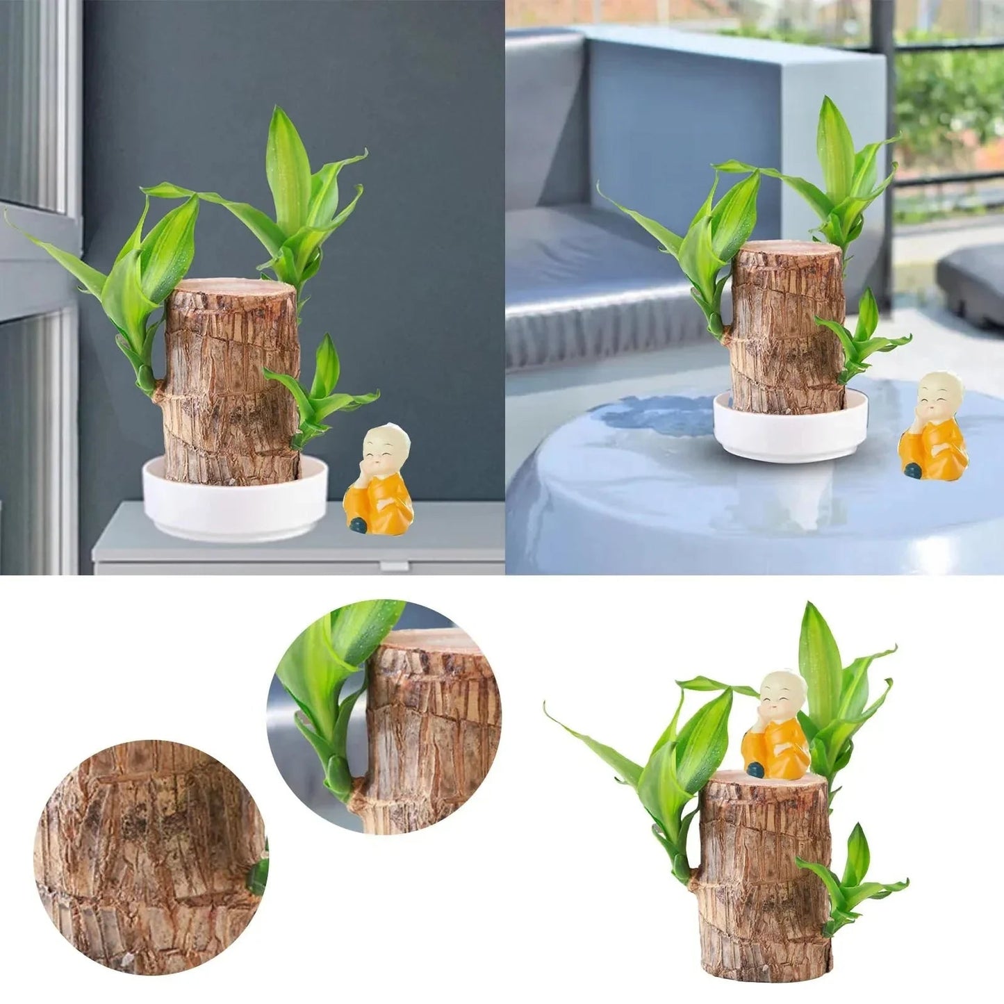 LuckyWood™ Pianta di legno in vaso