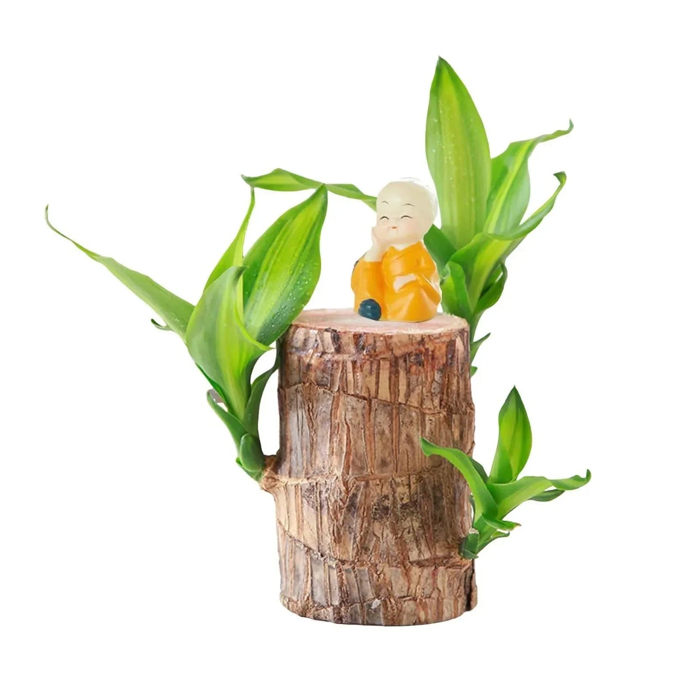 LuckyWood™ Pianta di legno in vaso