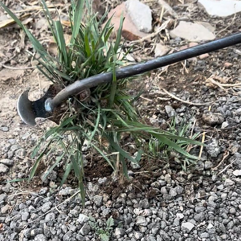 PurePluck™ Zappa per erbacce