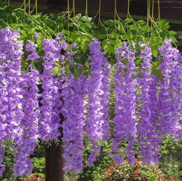 Wisteria™ Fiori artificiali di glicine 12 pezzi