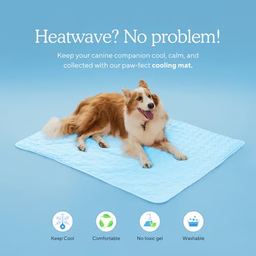 CoolPetz™ Tappetino refrigerante per cani