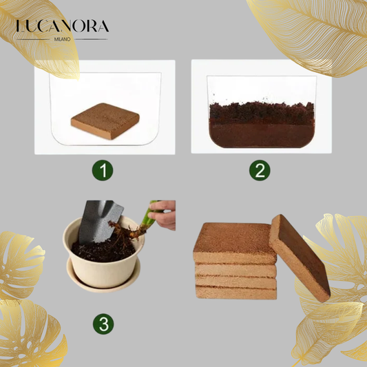 EcoBloom™ Mattoni di cocco biologico di prima qualità per piante