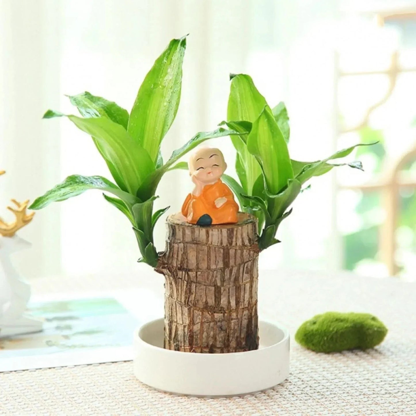 LuckyWood™ Pianta di legno in vaso
